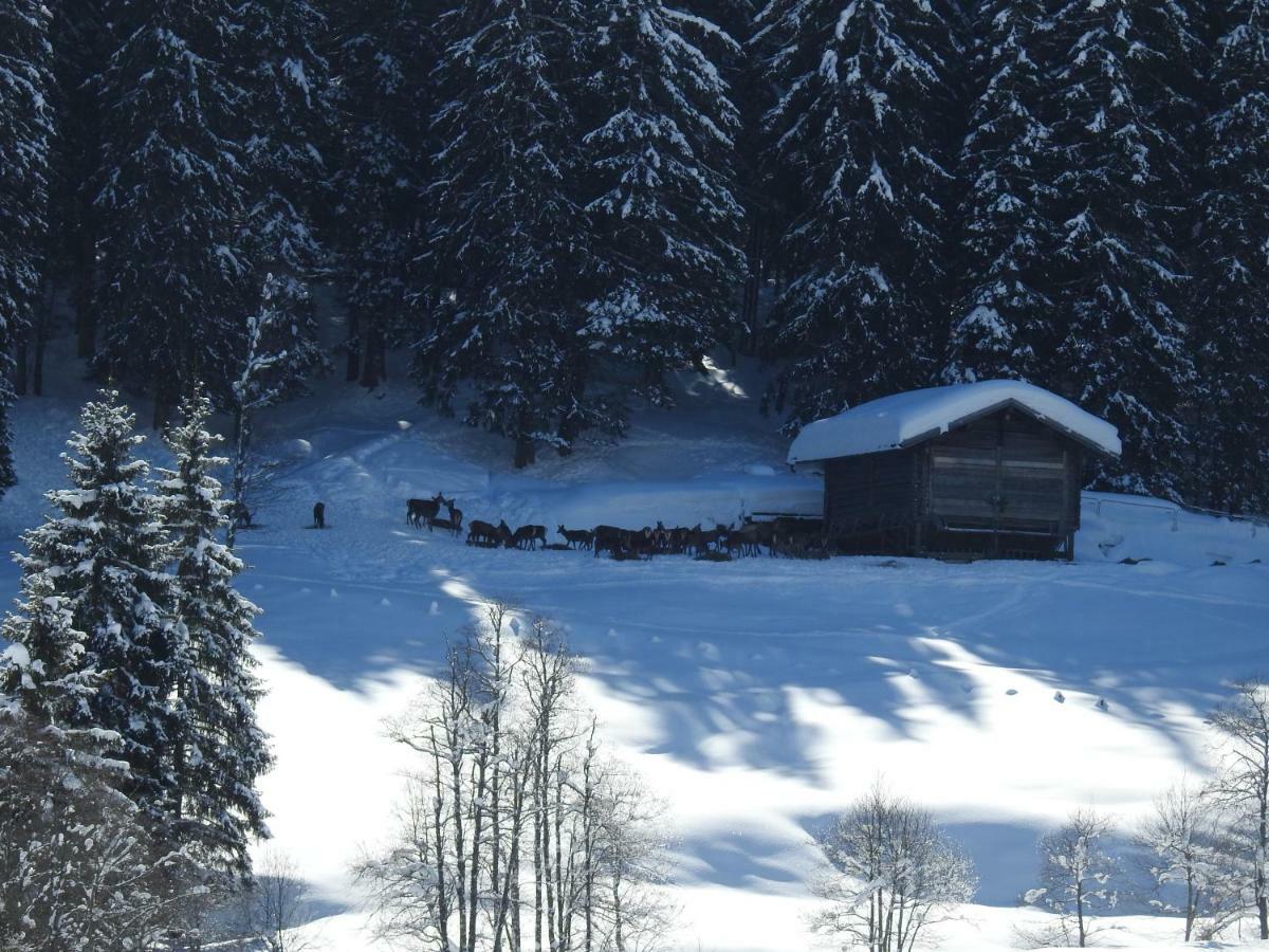 Blockhaus Ganschitter Apartment กรอสซาร์ล ภายนอก รูปภาพ